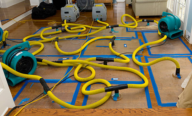 Professional Crawl Space Water Removal technician working in Stoneham, CO